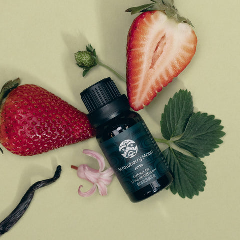 June Strawberry Moon Diffuser Oil | Bergamot + Orchid + Cashmere Vanilla