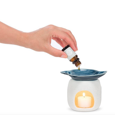 Seashell Oil Warmer