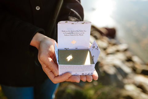 Sacred Devil's Club Botanical Soap