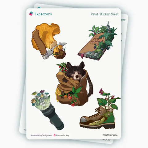 Vinyl Stickers, Sticker Sheet, Explorers, Gift