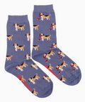 Beagle, friday socks co, womens, socks