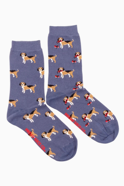 Beagle, friday socks co, womens, socks