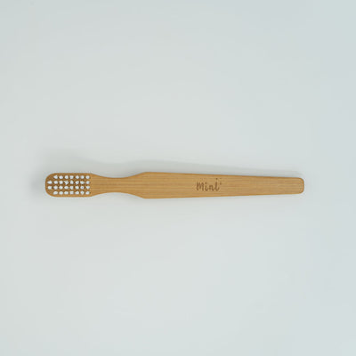 MINT CLEANING -  CLEANING BRUSH