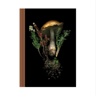 Deep Dark Forest Mushroom Journal