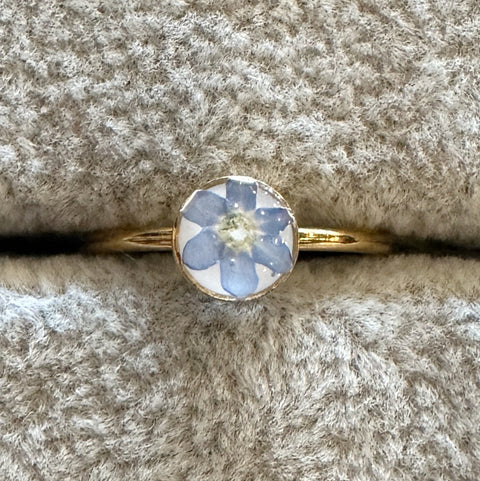 Forget-Me-Not Pressed Flower Ring | in Gold or Silver