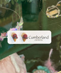 Earring display with 'Cumberland Creations' label in a store window.