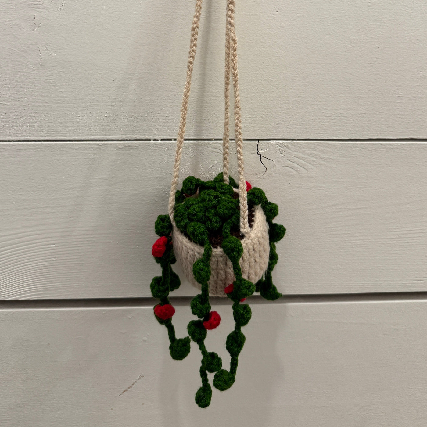 Crocheted Hanging Plant | Vines