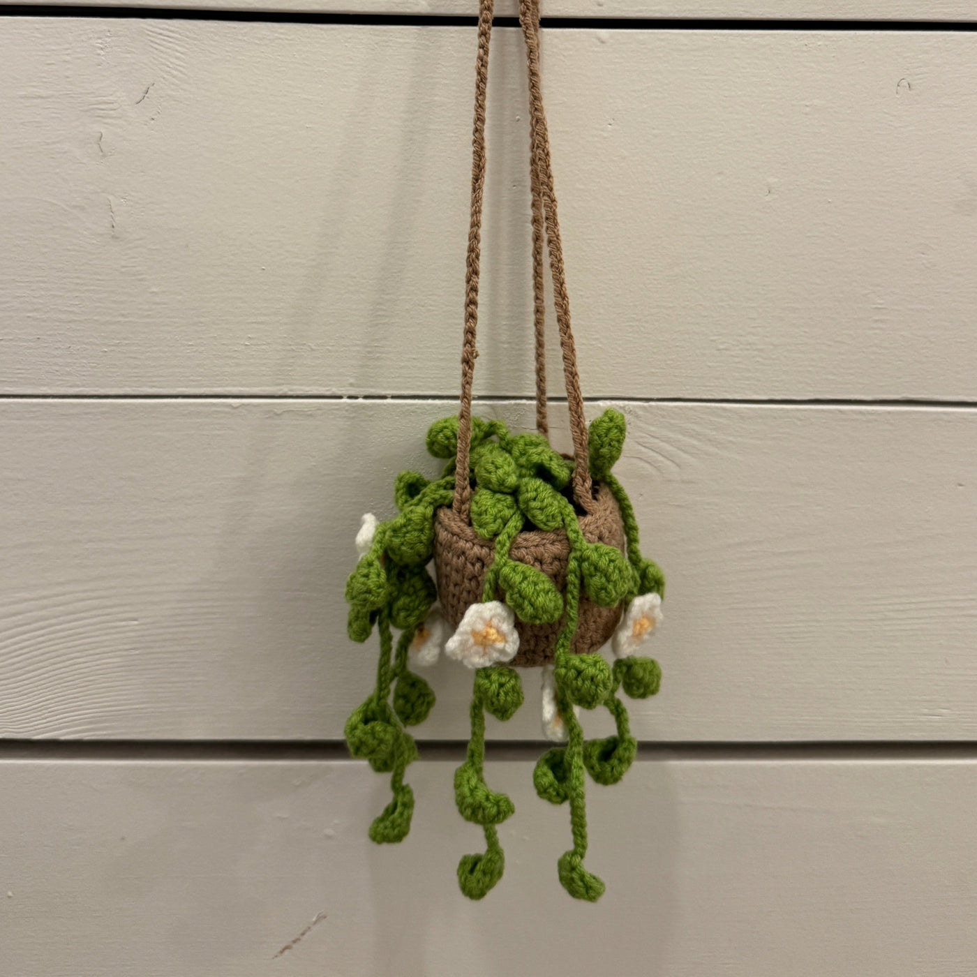 Crocheted Hanging Plant | Daisies