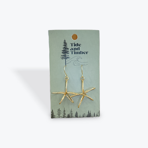 Large Sea Star Earrings | Silver