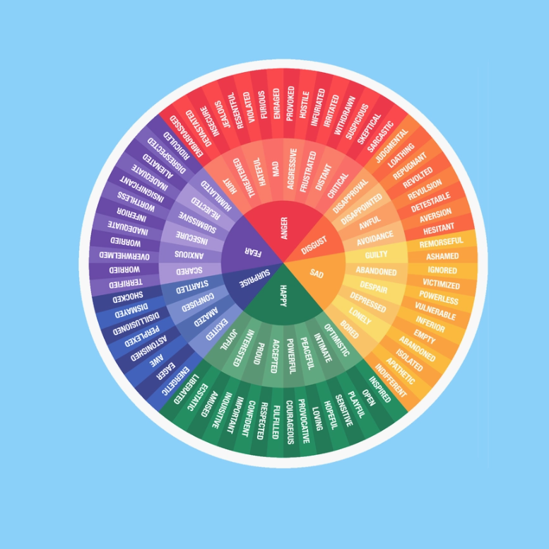 Mental Health Wheel Sticker