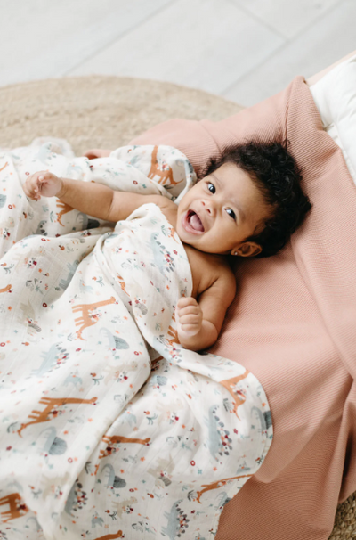 Copy of LOULOU LOLLIPOP - MUSLIN SWADDLE in BABY DINOMITE