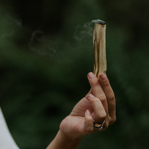 Palo Santo Stick | Essential Oil