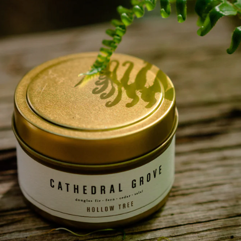 Cathedral Grove - 4oz Travel Tin