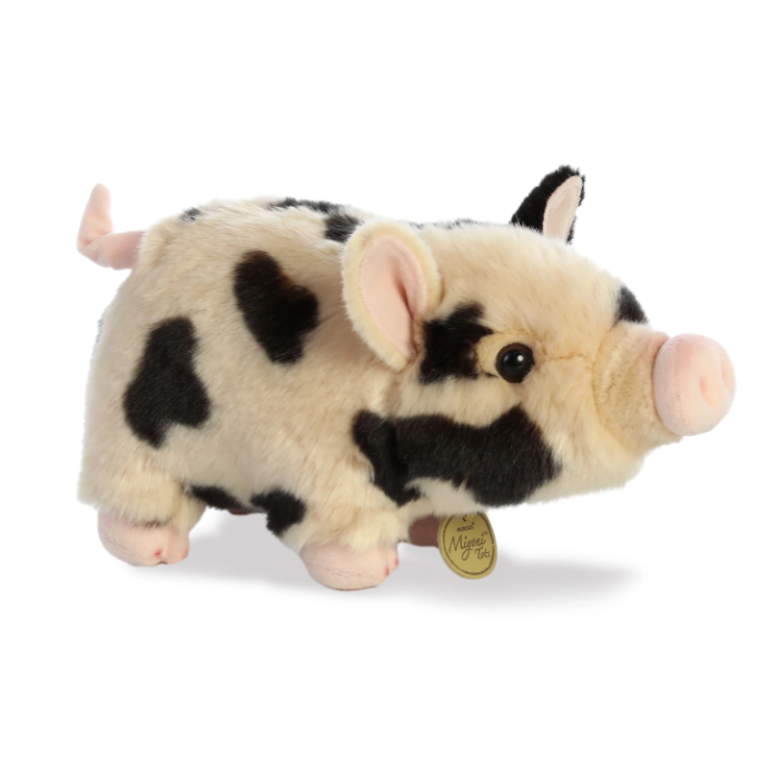 AURORA - POT BELLY PIG | SPOTTED
