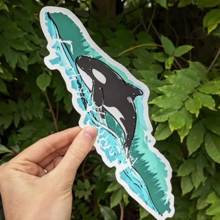 AMANDA KEY DESIGN - 9" VINYL STICKER | VANCOUVER ISLAND ORCA