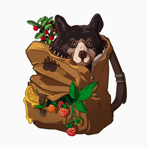 Bear Necessities Explorer | 6" Vinly Sticker