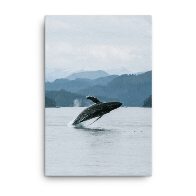 KIMBERLEY KUFAAS - VERTICAL POST CARD | HUMPBACK WHALE