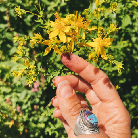 Solar Rising Flower Essence | St. John's Wort & Lemon Balm