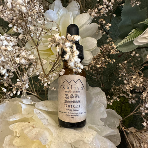 Flower Essence | Datura