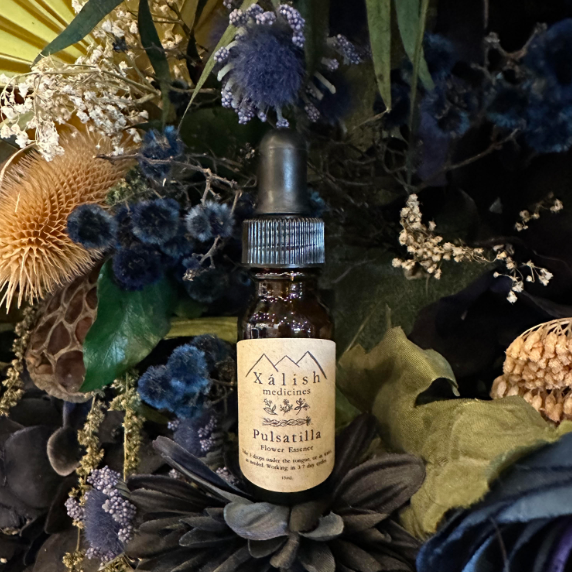 XÁLISH MEDICINES - FLOWER ESSENCE | PULSATILLA