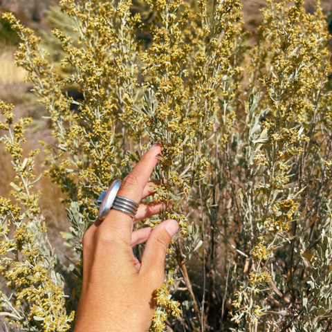 Sacred Space Smokeless Smudge Spray (Cedar + Sagebrush)