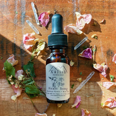 A small bottle labeled 'Xalish' with a dropper, surrounded by dried flowers and leaves on a wooden surface.