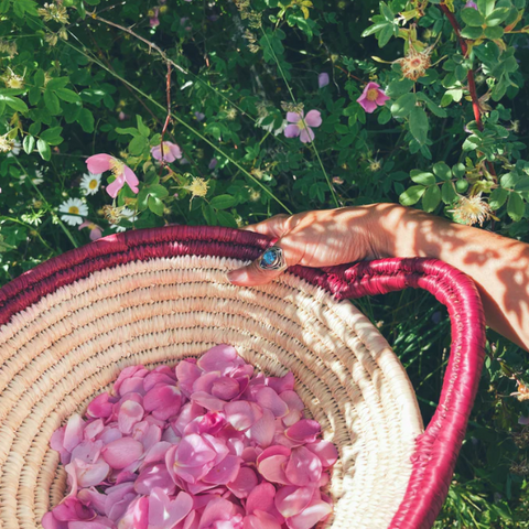 Heart Song Love + Grief + Protection Tincture