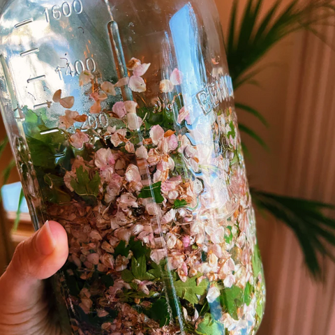 Heart Song Love + Grief + Protection Tincture