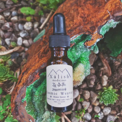 Cosmic Weaver Flower Essence