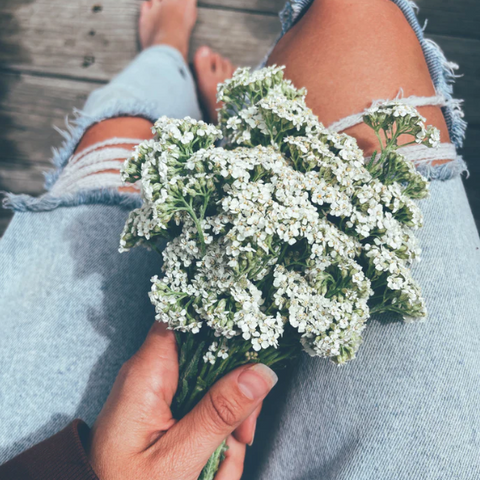 Cosmic Weaver Flower Essence