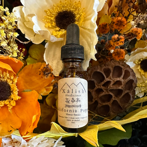 Flower Essence | California Poppy