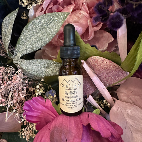 A dropper bottle labeled ' Shooting Star Essence ' placed among decorative flowers and foliage.