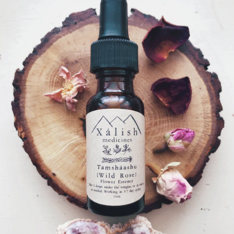 A bottle of 'Xalish Medicines' Wild Rose flower essence, placed on a wooden surface with dried rose petals around it.