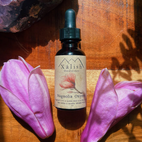 Magnolia Oxymel Flower Elixir