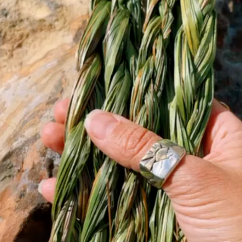Hand holding a braided green plant against a natural background