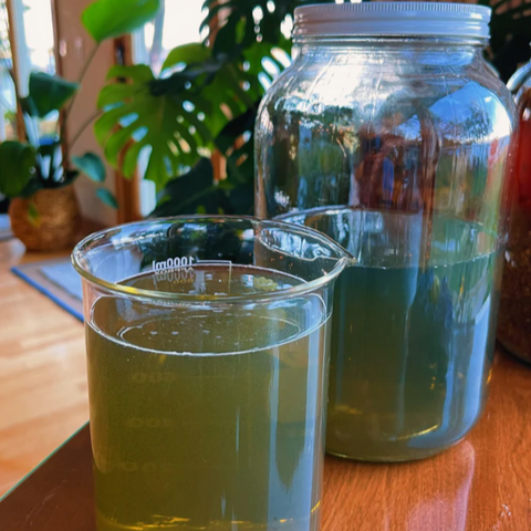 Sweetgrass + Rose Energy Aligning Spray