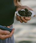 Person holding a shell with truffles and a device labeled 'Napoleon Truffle' outdoors.