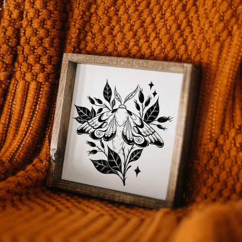 Framed black and white artwork of a moth on a textured orange surface
