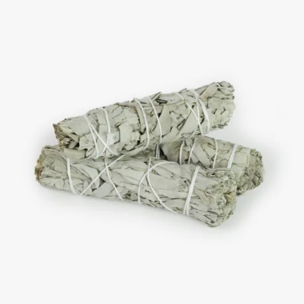 Two bundles of sage smudge sticks tied with twine on a white background