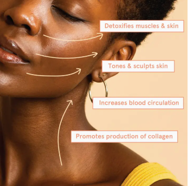 Facial Cupping Massage Set With Jojoba Oil