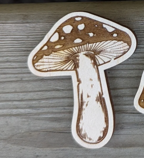 Mushroom Magnets