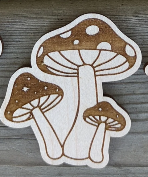 Mushroom Magnets