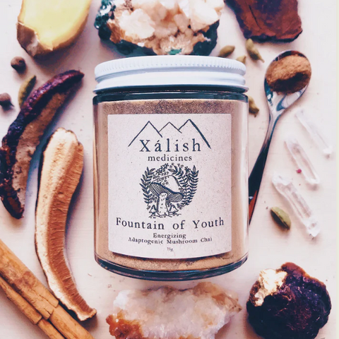 Fountain Of Youth Mushroom Chai