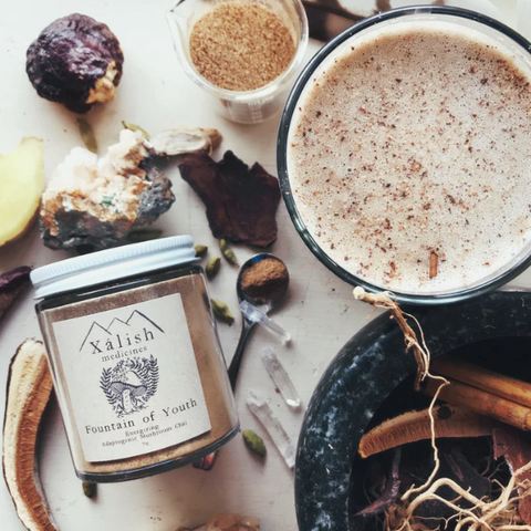 Fountain Of Youth Mushroom Chai