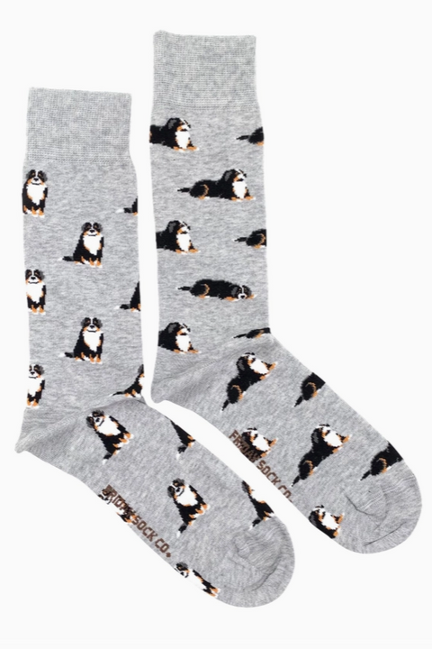 Mens Mismatched Socks | Bernese Mountain Dogs