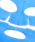 Close-up of a blue plastic sheet with circular cutouts on a white background