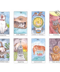 Cat Tarot card set with illustrations on a white background