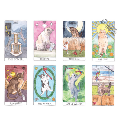 Cat Tarot card set with illustrations on a website page.