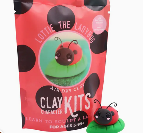DIY Dry Clay Kit | Lottie the Ladybug