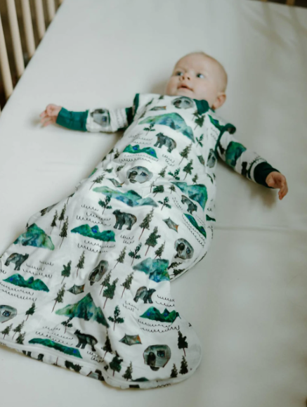 Sleep Bag | Borealis Bear